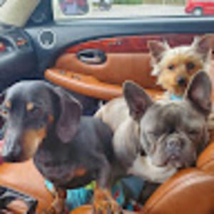 Meet your Posher, Preciousone